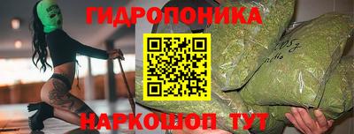 твердый Гатчина