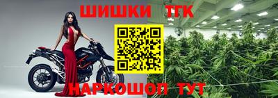 твердый Гатчина