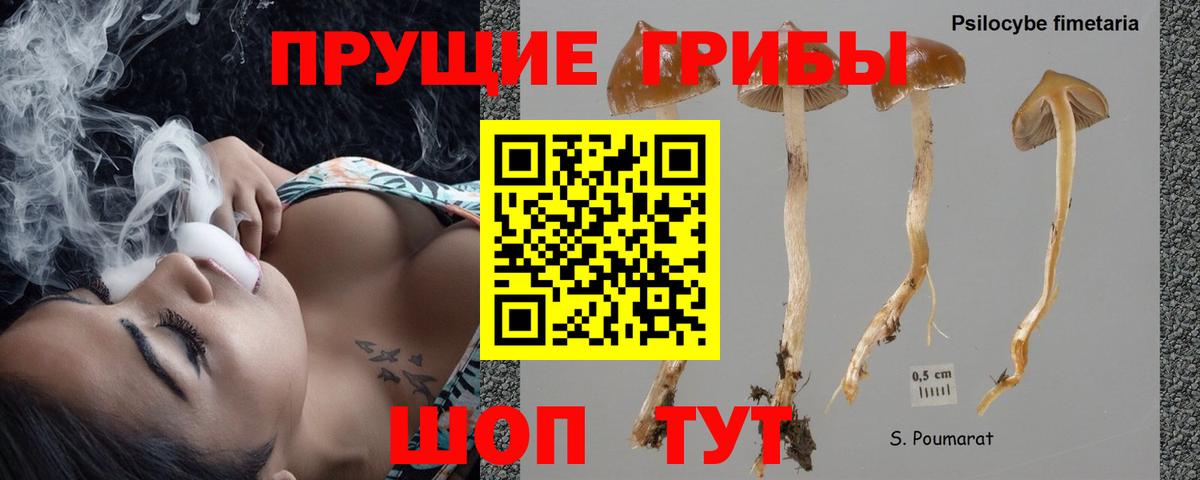 Мурманск  Псилоцибиновые грибы мухоморы  Вход с VPN 